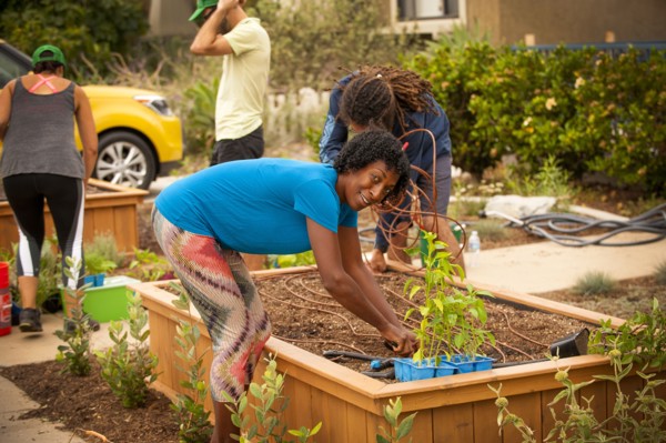 Neighbors planting in raised garden