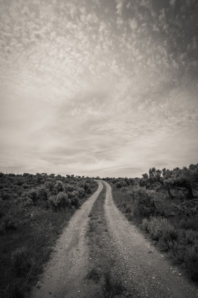 Empty road in desert landscape