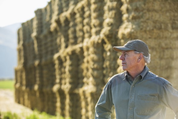 Caucasian farmer near stacks of hay