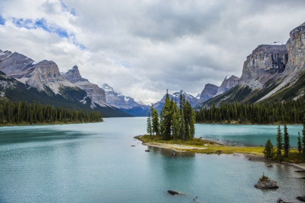 Trees in mountain lake