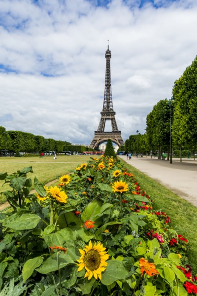 Row of flowers near Eiffel Tower