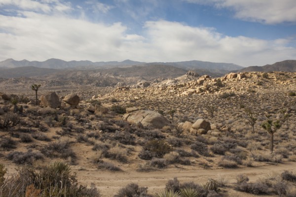 Dirt road in remote desert landscape