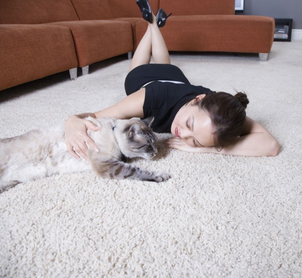 Woman petting cat on floor