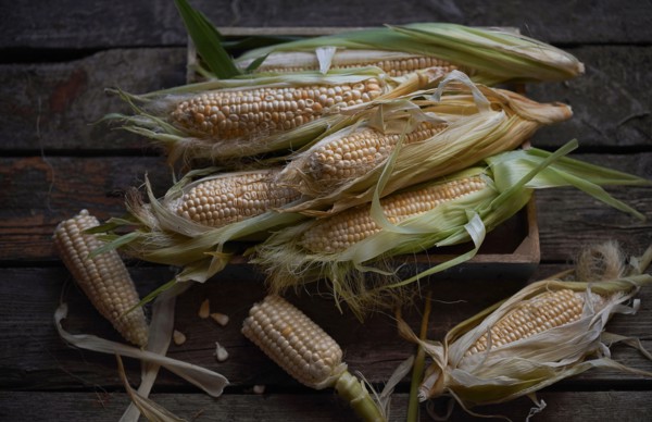 Fresh corn on wooden table