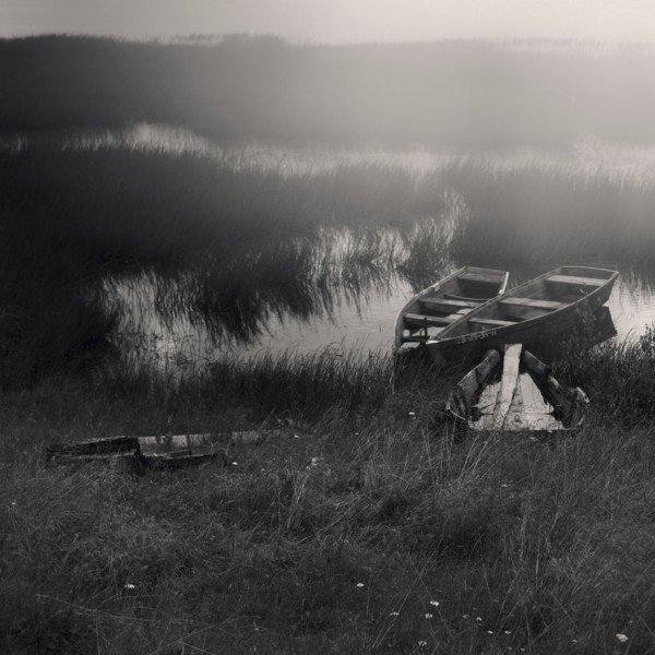 Canoes docked in tall grass in lake