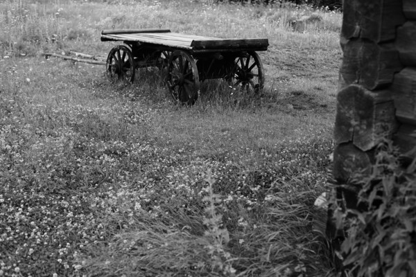 Wooden wagon in rural field