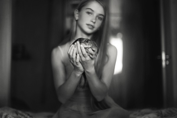 Caucasian girl holding pet chinchilla on bed