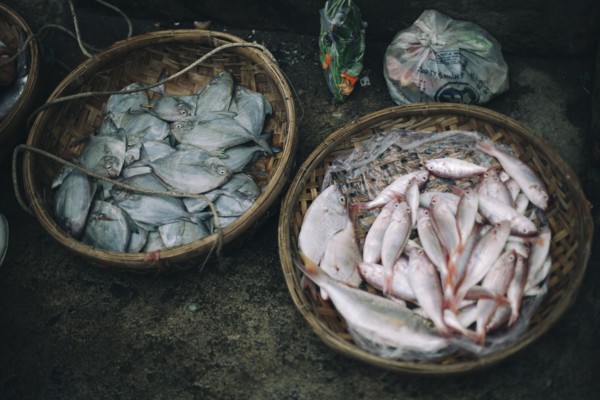 Baskets of fish