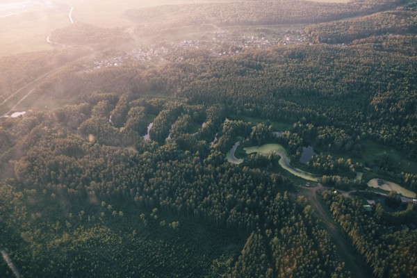 Aerial view of river and trees