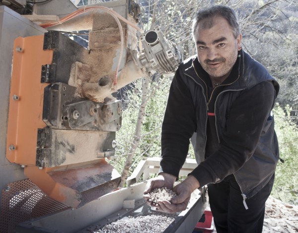 Carpenter holding wood chips