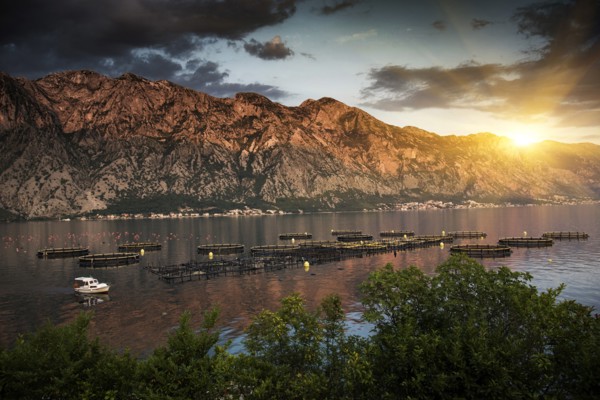 Boat in river near mountain at sunset