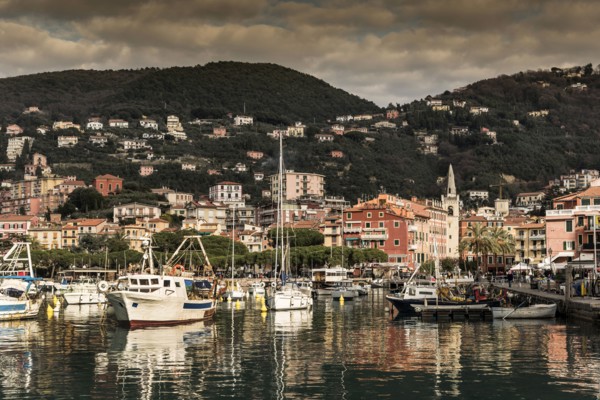 Boats at marina
