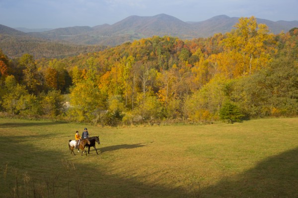 Distant Caucasian couple horseback riding in field