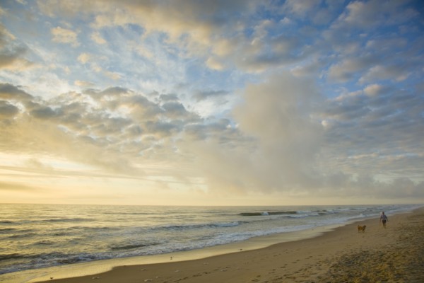 Man and dog on ocean beach at sunset