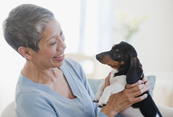 Chinese woman holding dachshund