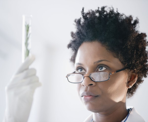 Black scientist looking at herb in test tube