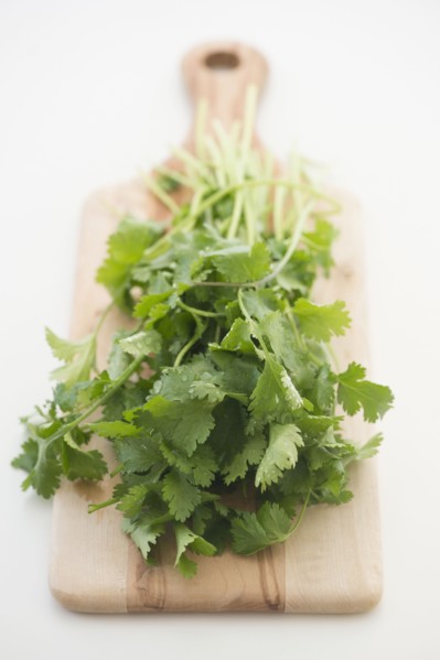 Cilantro on cutting board