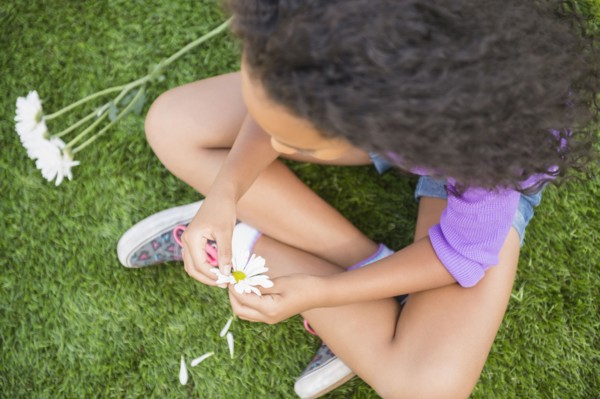 Mixed race girl picking petals off daisy