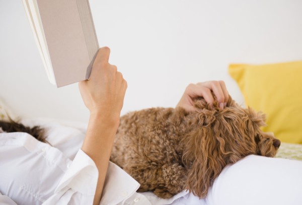 Caucasian woman reading with pet dog