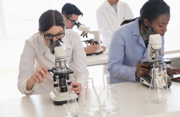 Scientists using microscopes in research laboratory