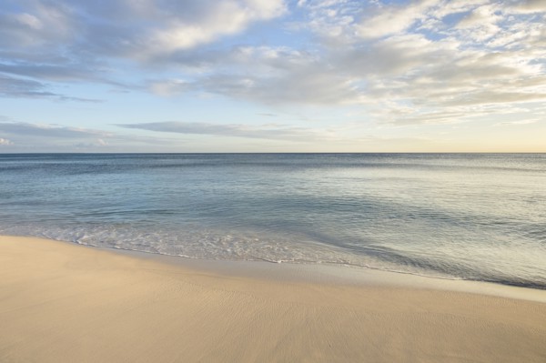 Ocean wave on beach