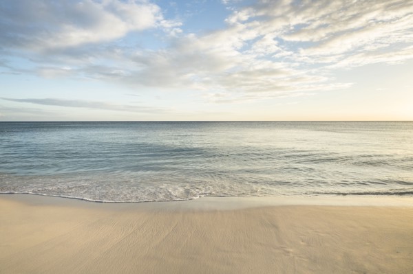Ocean wave on beach