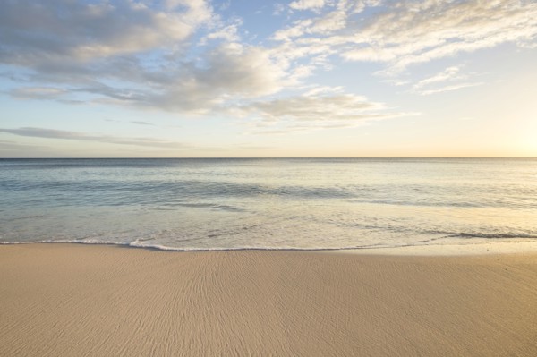 Ocean wave on beach