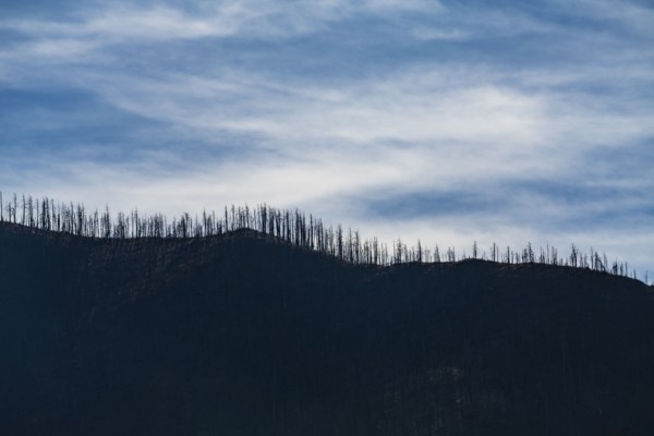 Gila National Forest