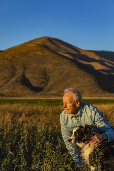 Senior man with border collie in field at sunset