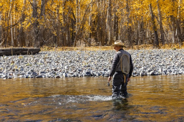 Rear view of senior fisherman