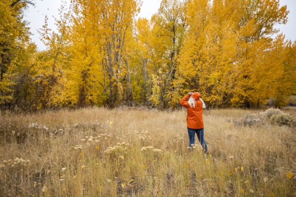Rear view of woman in grassy meadow in Autumn