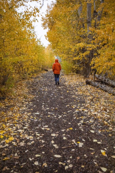 Rear view of woman walking on footpath