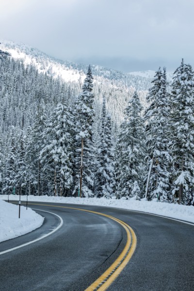 Road through winter forest