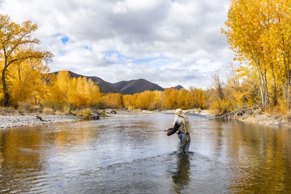 Senior woman fly-fishing