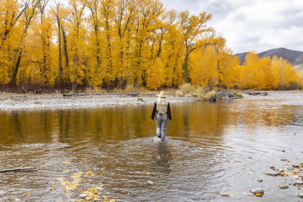 Senior woman fly-fishing