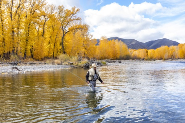 Senior woman fly-fishing