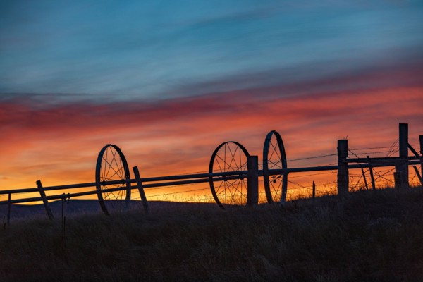 Silhouette of irrigation wheels in field at sunset