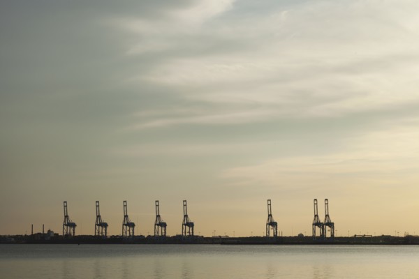Shipping cranes in harbor at sunset