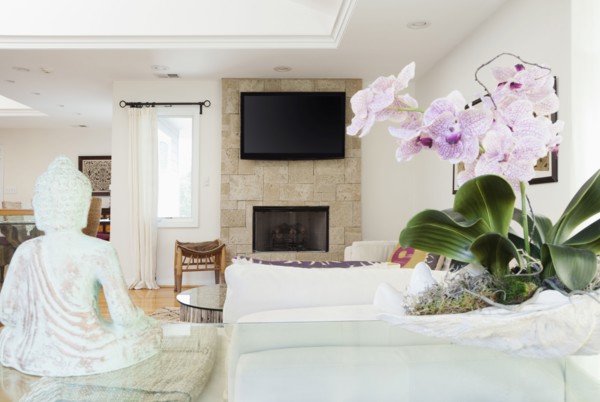 Orchids and Buddha statue in living room