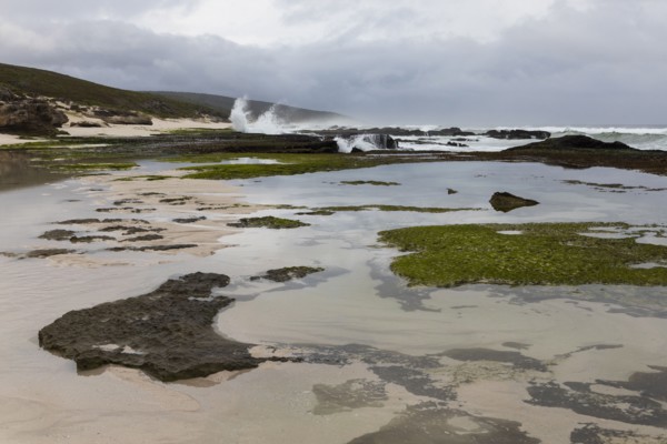 Coastline and tidal pools