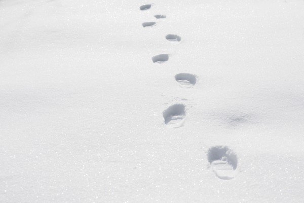 Footprints on snow