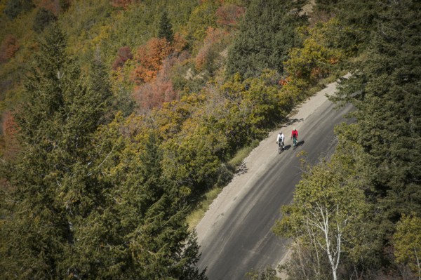 Aerial view of man and woman riding bicycles on country road