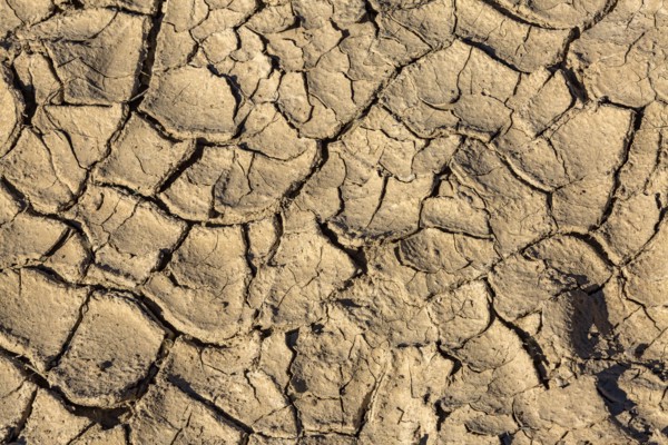 Dried streambed cracking into pieces