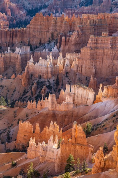 Hoodoo rock formations in canyon