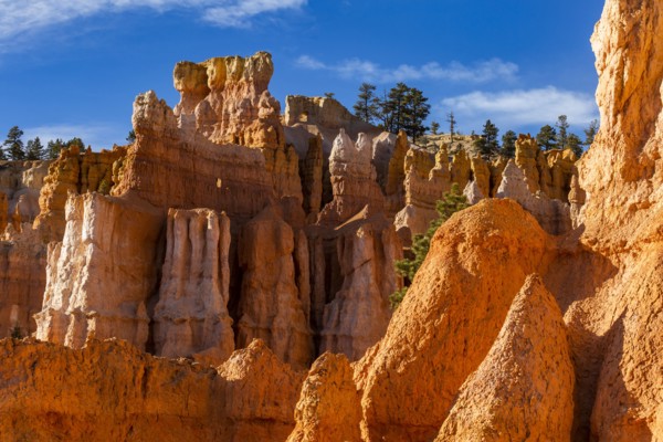 Hoodoo rock formations in canyon