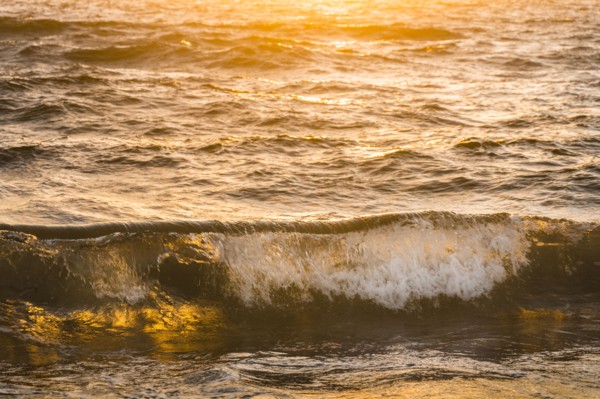 Ocean waves splashing at sunset