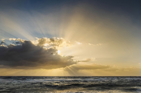 Sun rays bursting from behind clouds above sea at sunrise