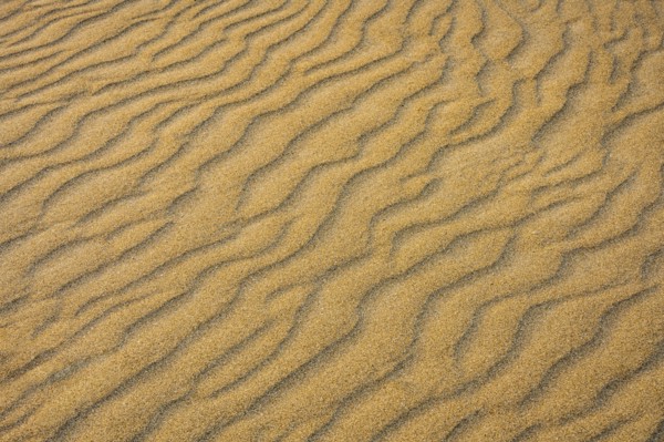 Close-up of rippled sand
