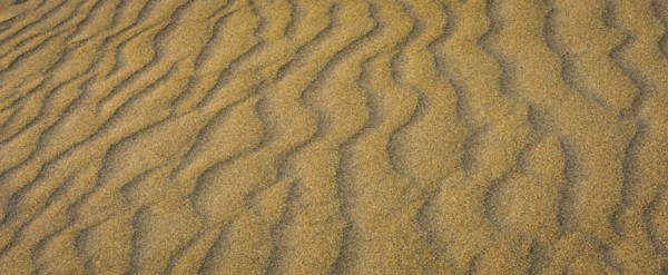 Close-up of rippled sand