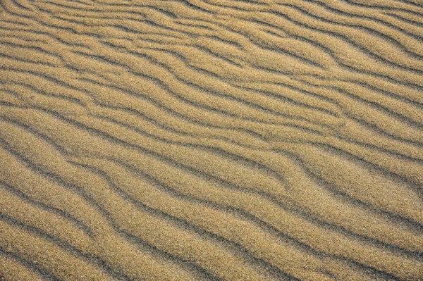 Close-up of rippled sand